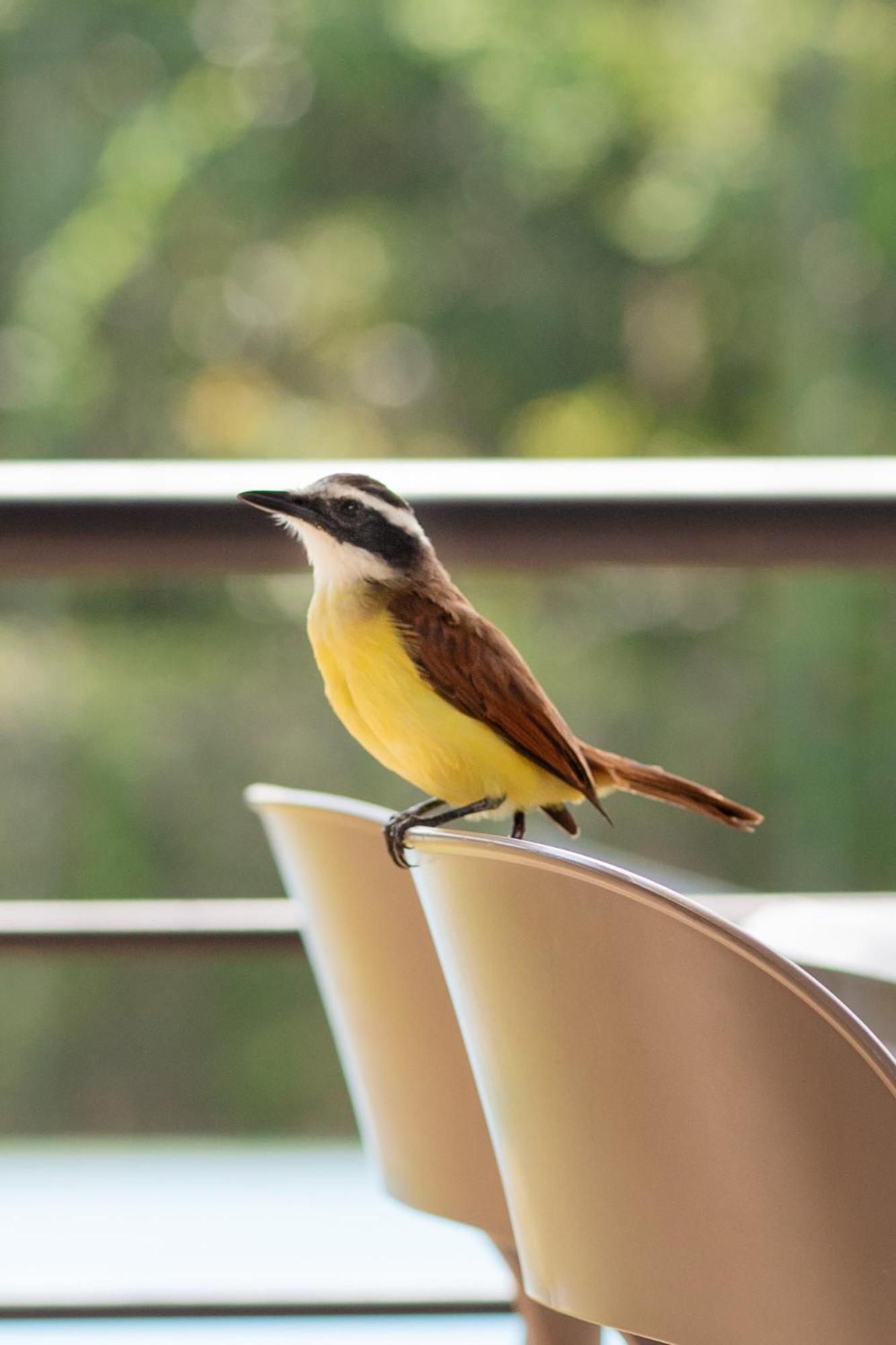 Natura Reservado - Hoteles Natura アナポイマ エクステリア 写真