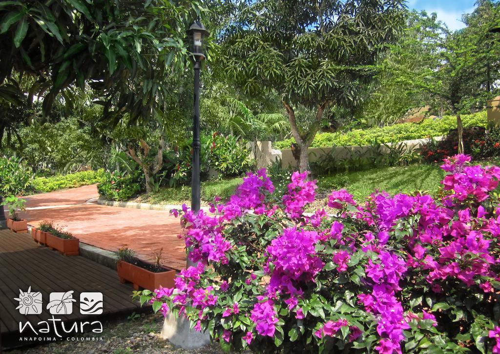 Natura Reservado - Hoteles Natura アナポイマ エクステリア 写真